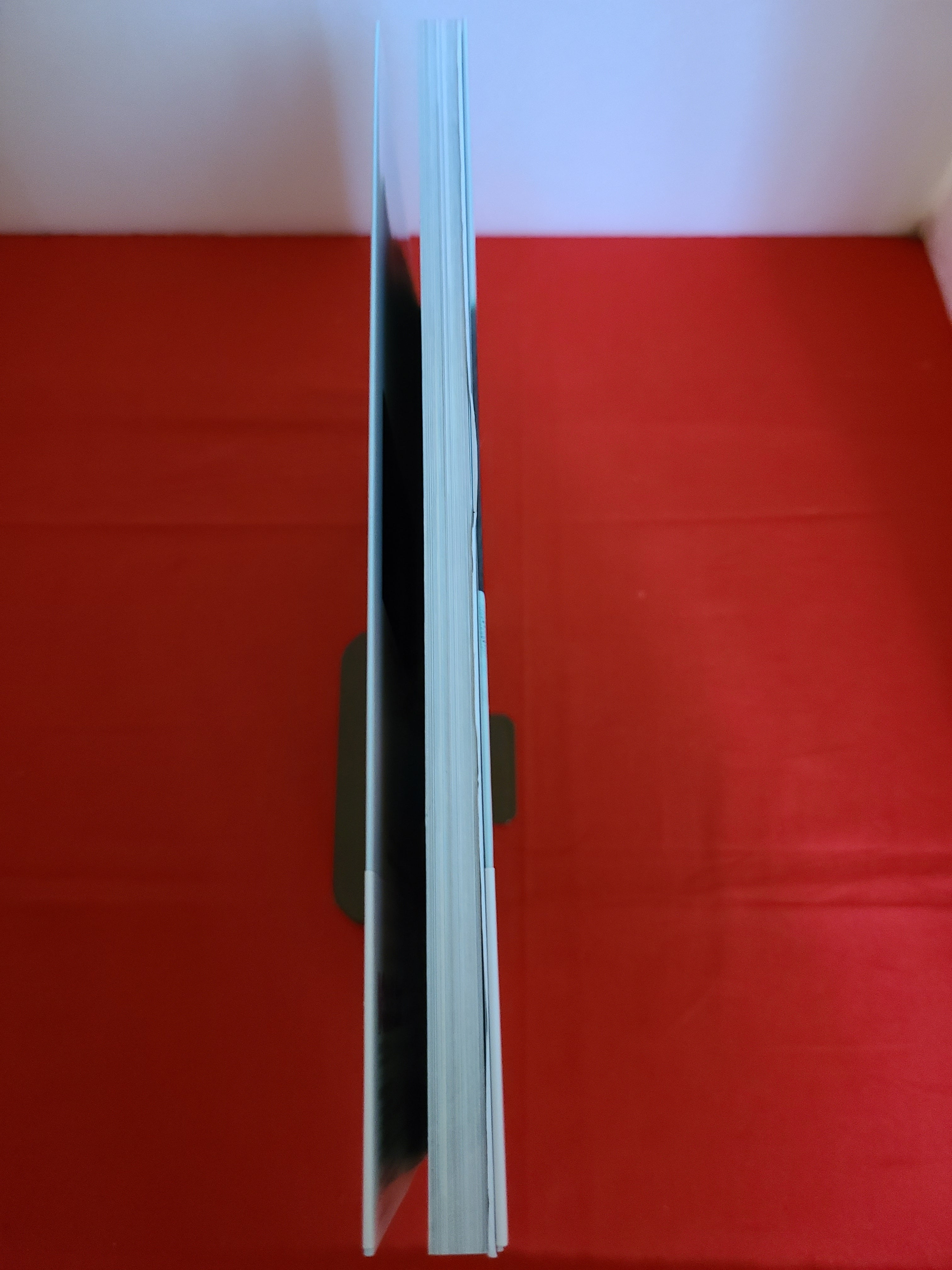 谷村有美　直筆サイン入り絵画　 神谷町Live出演時の物 谷村有美 直筆サイン入り絵画 神谷町Live出演時の物 谷村有