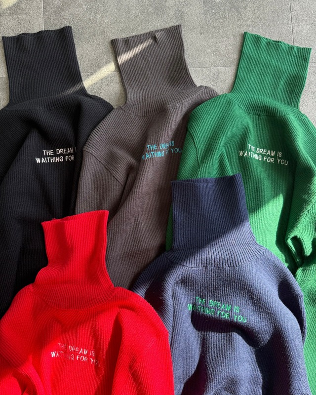 logo rib turtleneck knit