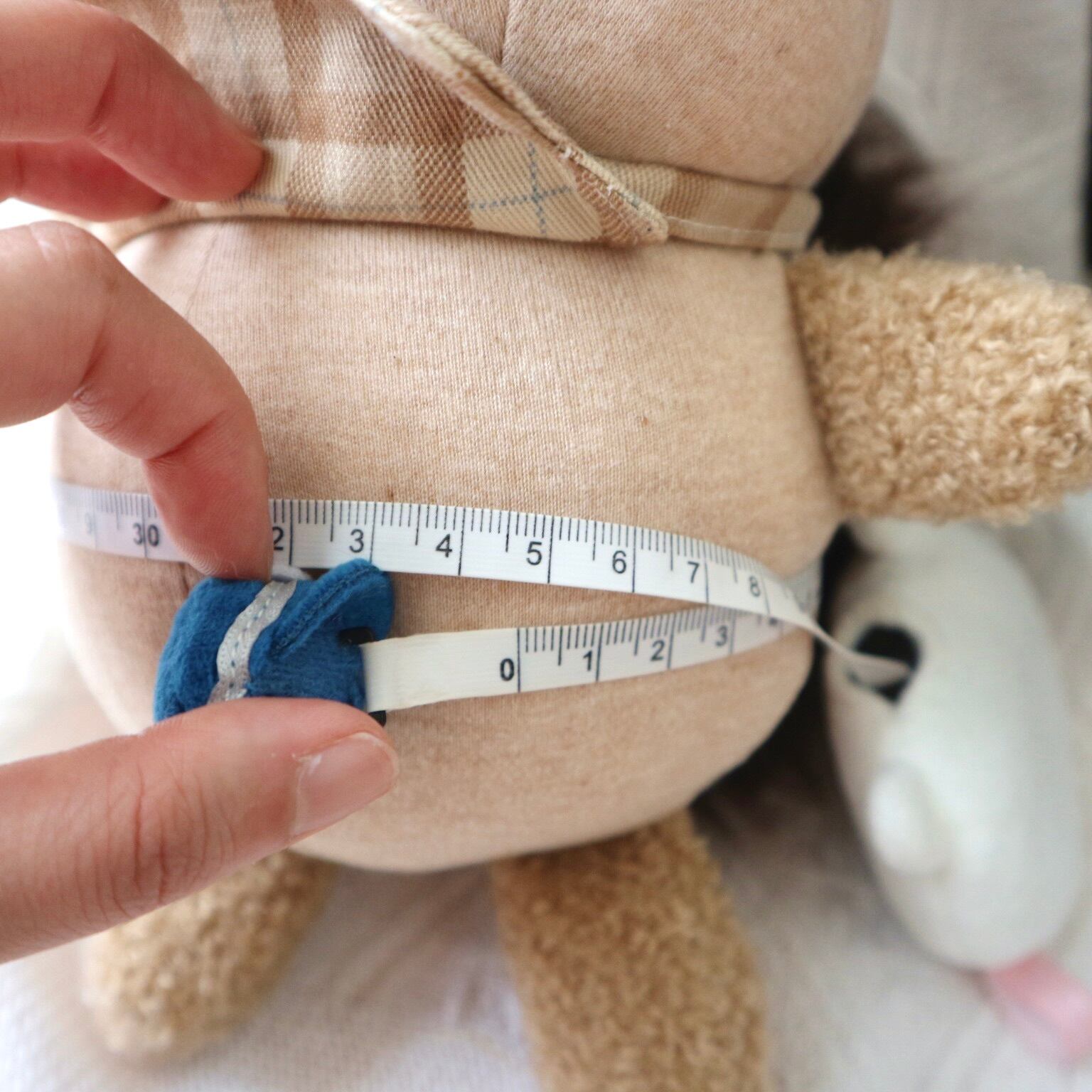 ゆきリスのzipぬいぐるみ | tsumikinomura