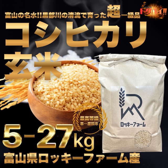 【農家直送】富山県産コシヒカリ 玄米5kg / 令和7年産 / 単一原料米 / 一等米 / ロッキーファーム / 産地直送 / 名水百選︎ 黒部川の清流で育った自慢のお米