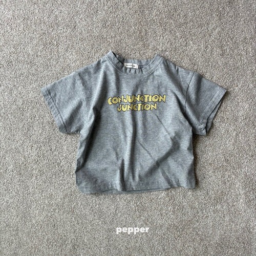 [即納M/L]≪pepper≫Crack short sleeve T  melange 05