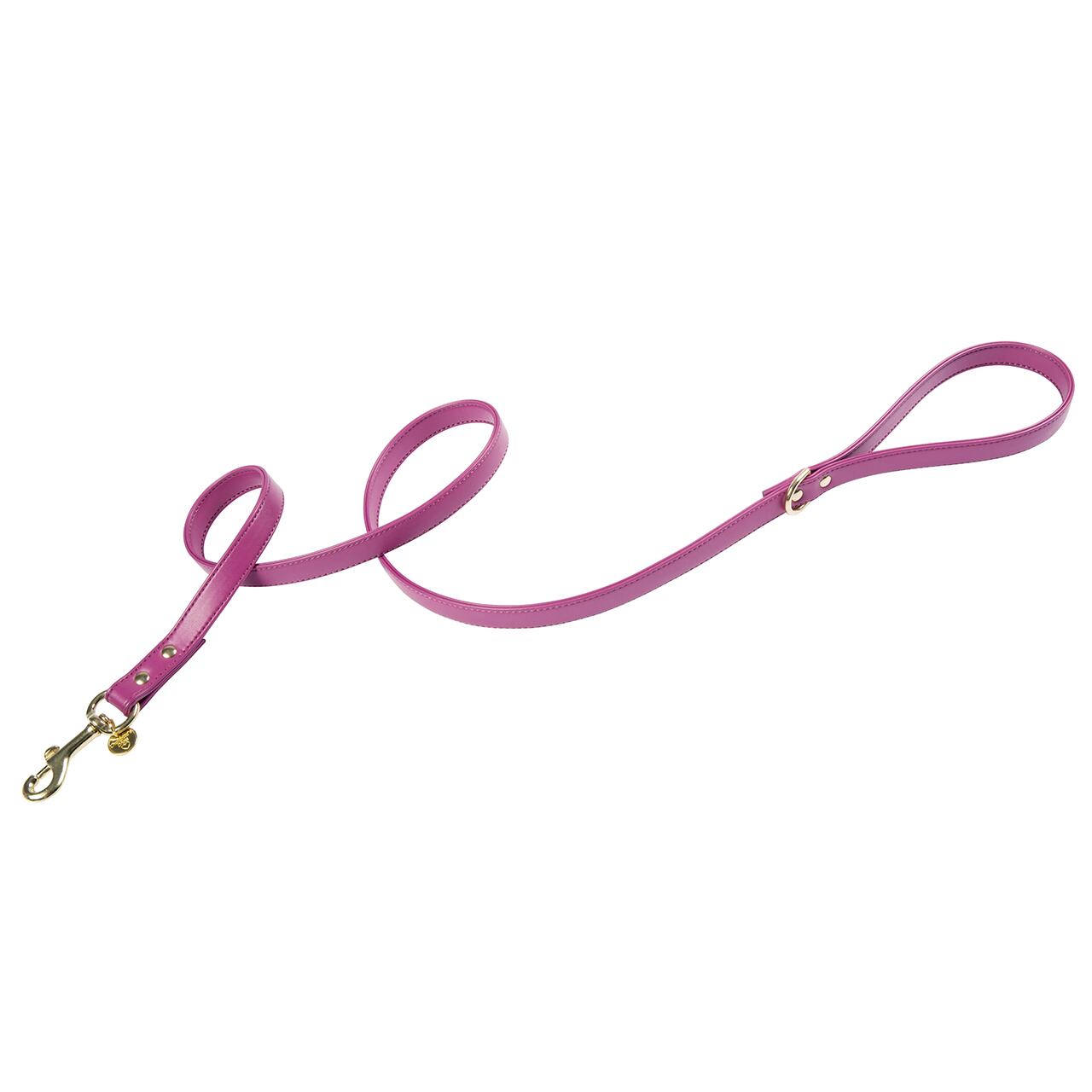 Art. h1566NOB leash Hermes(Gold) / Charlotte's Dress