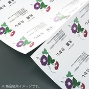 コクヨ(KOKUYO) マルチプリンタ用 名刺用紙 A4 10枚 ナチュラルホワイト KPC-VE10W