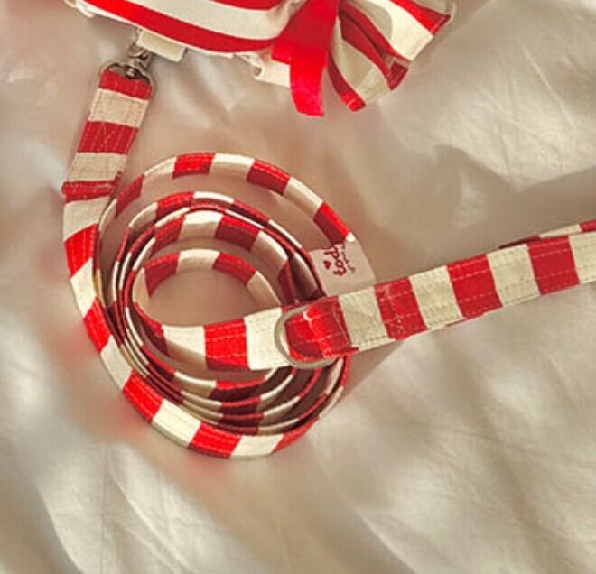 即納【todley】Candy Lover Leash