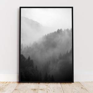 森と濃霧