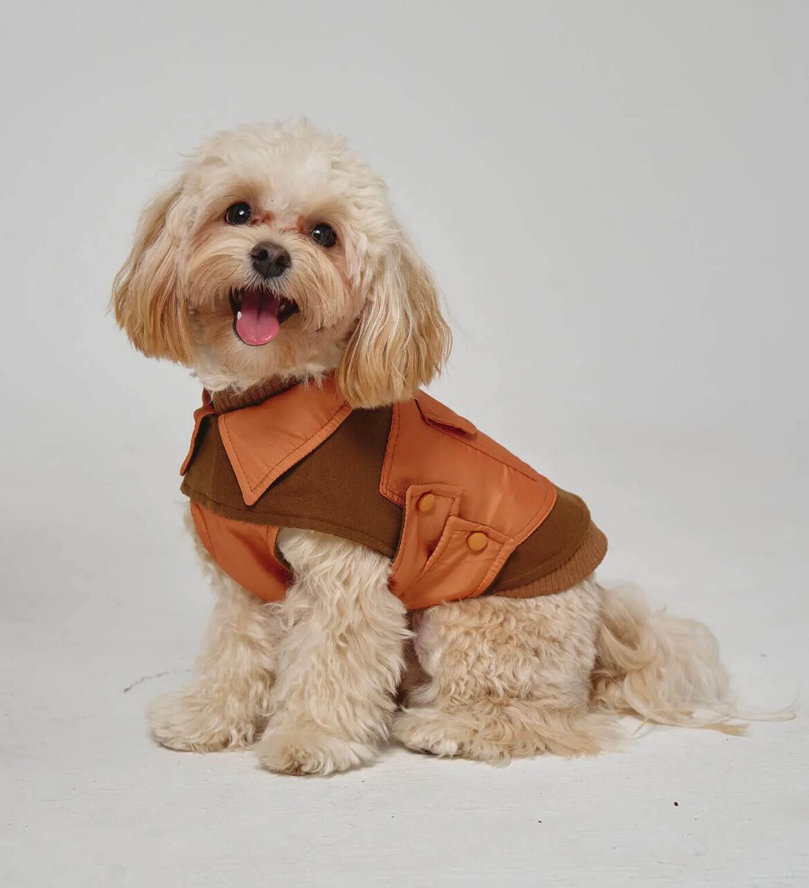 Dog Coat Blanket “Noble Tails” ote.