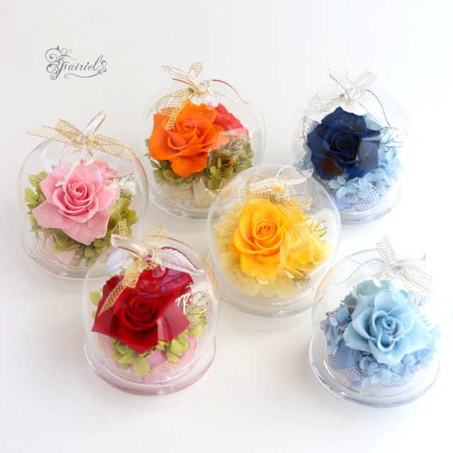 Fairiel アップル ガラスドーム プリザーブドフラワー ギフト オーダーメイド 父の日 誕生日プレゼント おしゃれ かわいい 誕生日 結婚祝い 各種記念日 母の日 Preciouspreserved プレシャスプリザーブド