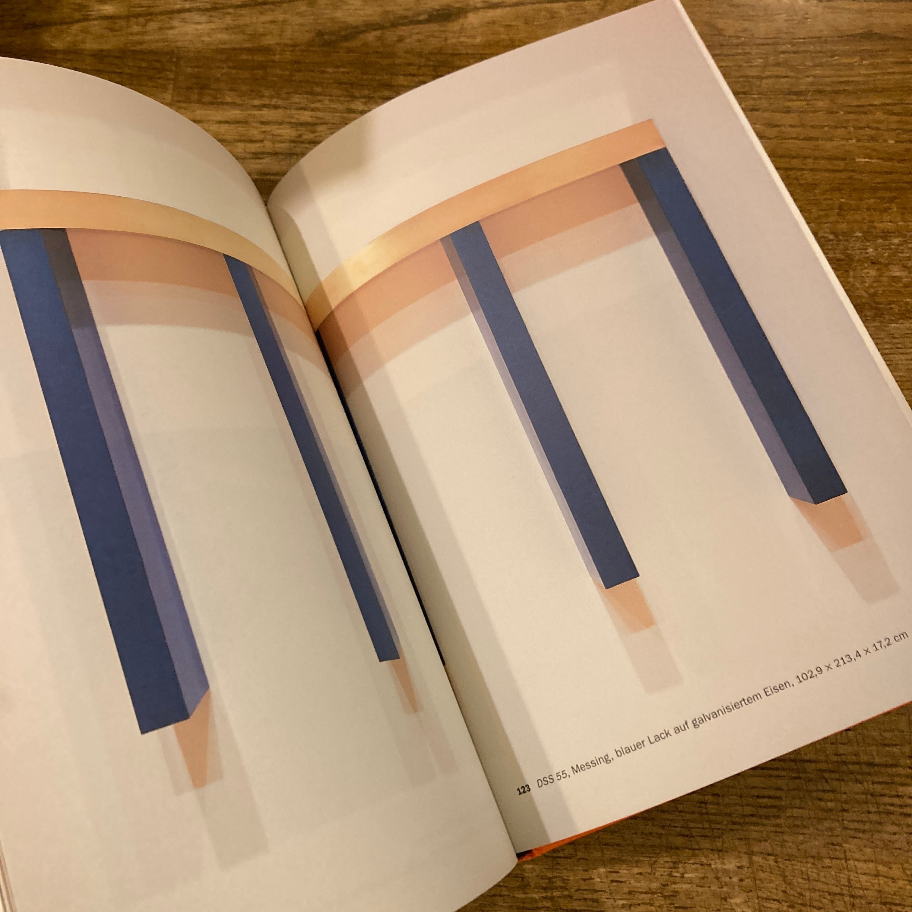 Donald Judd: Das Fruhwerk 1955-1968 / Thomas Kellein | 百年