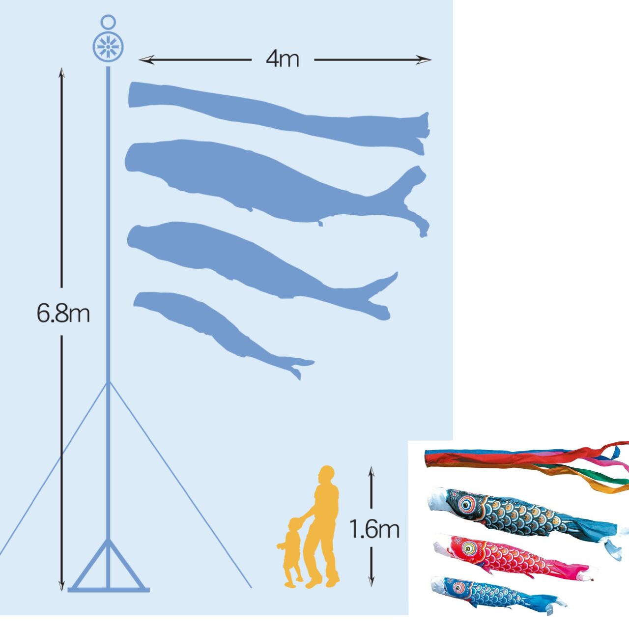 ゴールド鯉庭園スタンドセット　４M６点セット（徳永鯉のぼり）