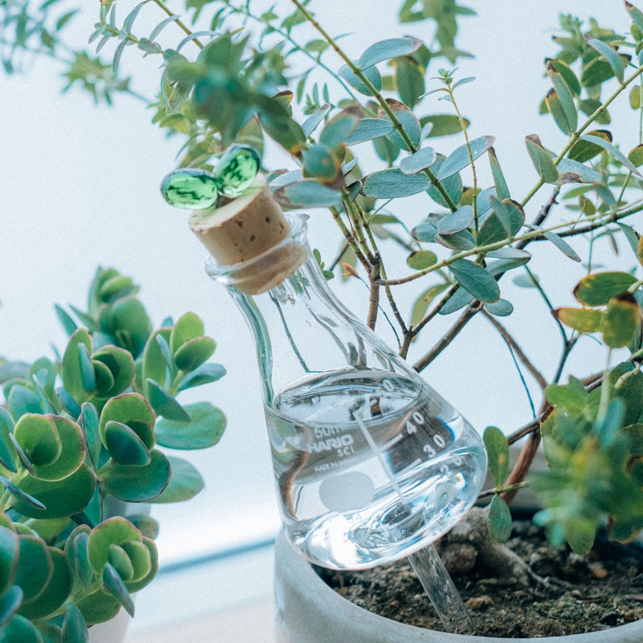 Bluelab Truncheon 栄養素メーター 植物発芽 園芸 防水 植物発芽のためのBluelab Truncheon栄養素メーター : World Importer