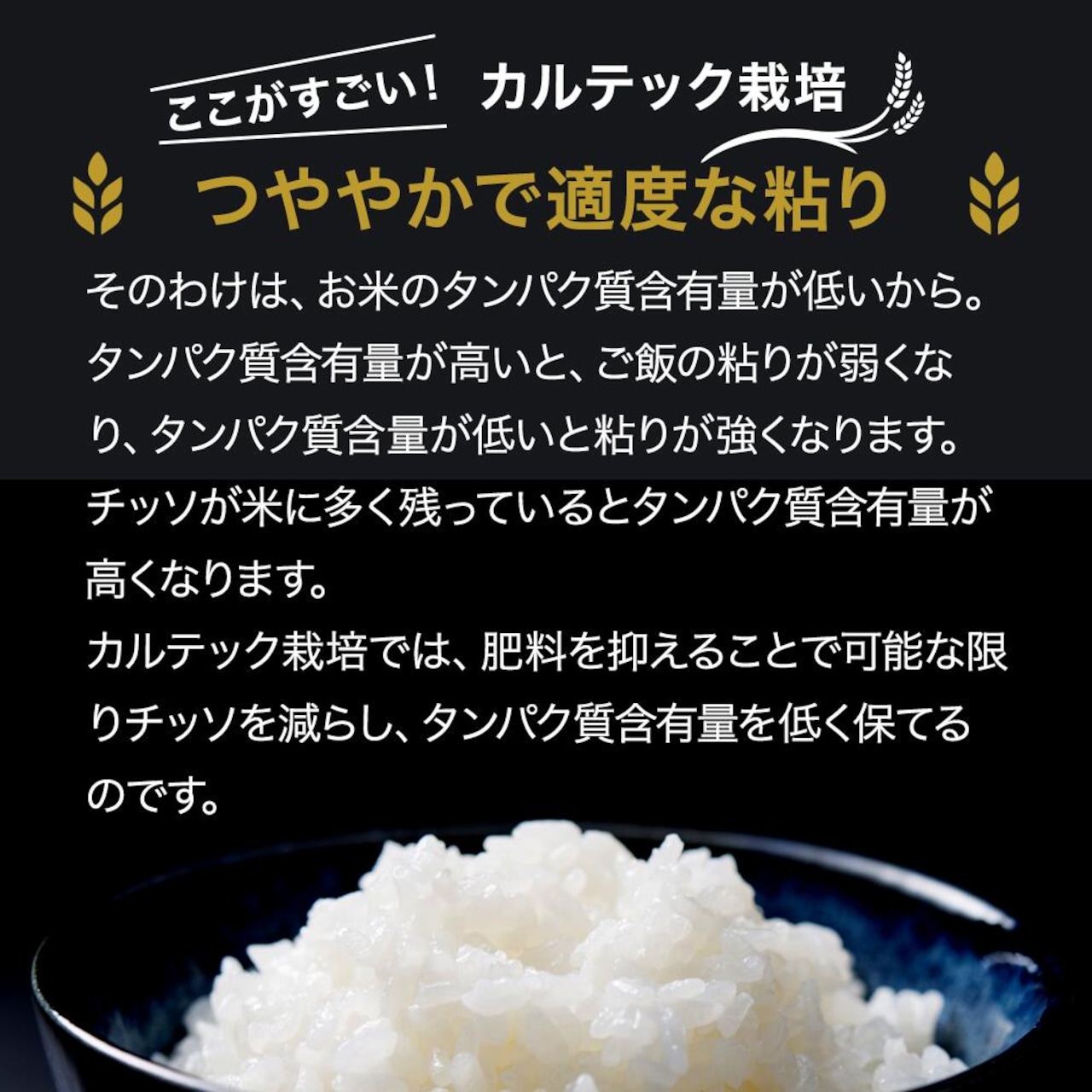 3カ月定期便】おいしいお米コンテスト受賞 京都丹波産コシヒカリ 令和5