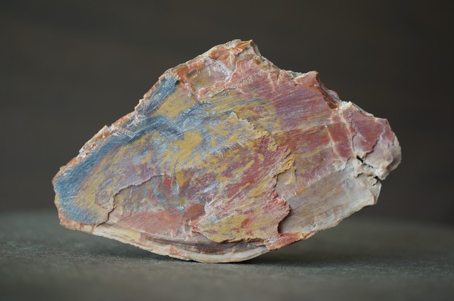 マダガスカル産ペトリファイドウッド Petrified Wood 2031