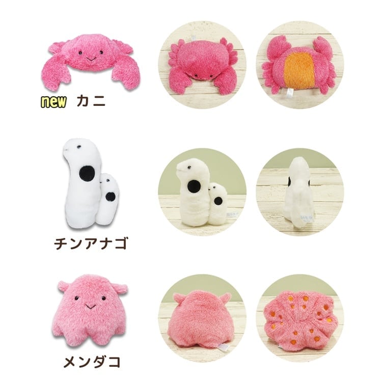 ぬいぐるみ ぽちゃまる | 幼魚屋オンラインショップ