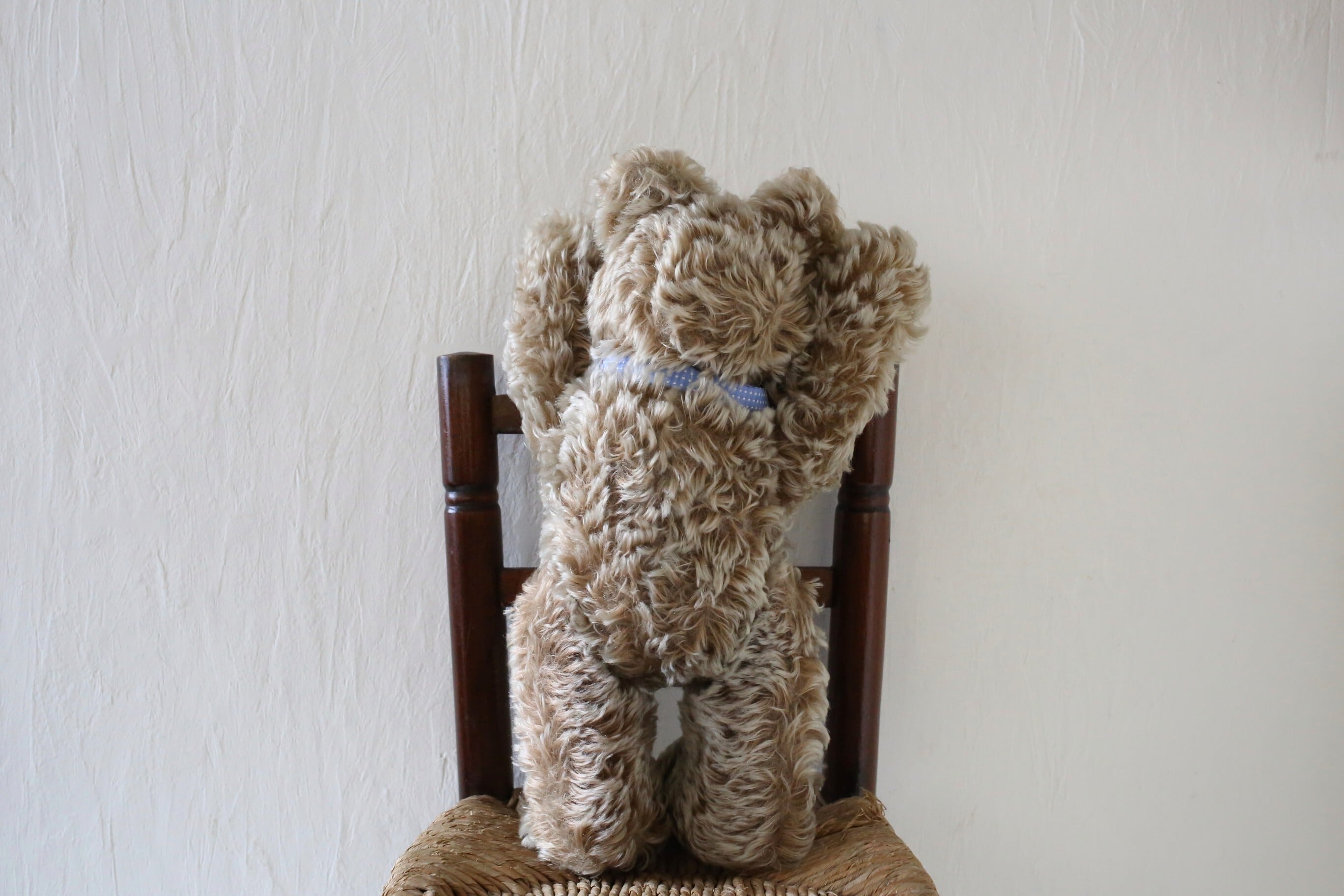 ドイツ アンティーク ヴィンテージ HERMANN ハーマン テディベア