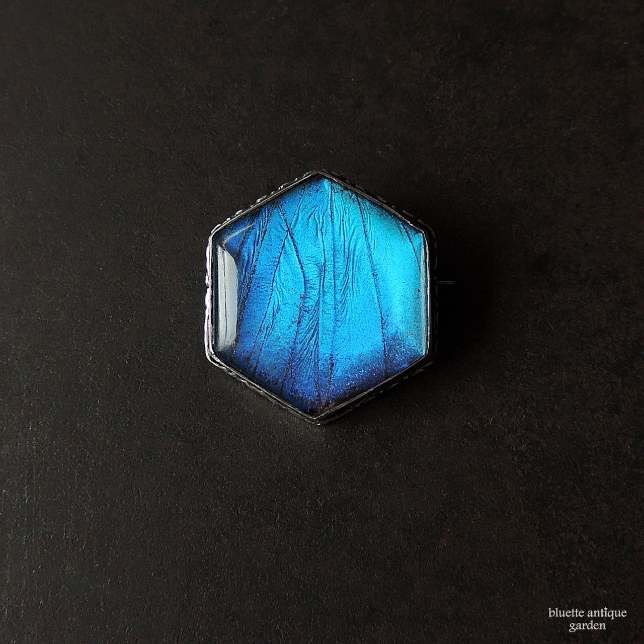 アンティークジュエリー シルバー モルフォ蝶 ブローチ(ヘキサゴンタイプ)