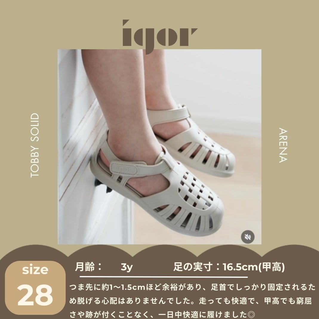 【即納/送料無料】igor / TOBBY SOLID / TAUPE