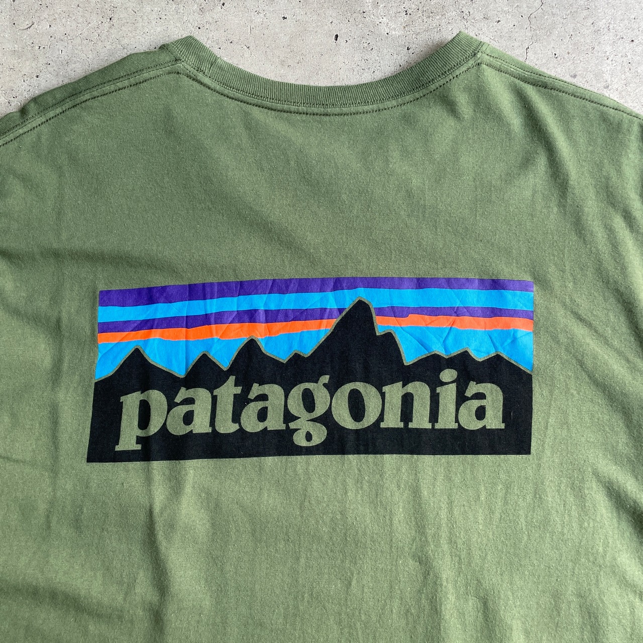 patagonia パタゴニア 胸ロゴ バックプリント オーガニックコットン T 