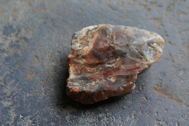 コプロライト ③ Dinosaur Coprolites