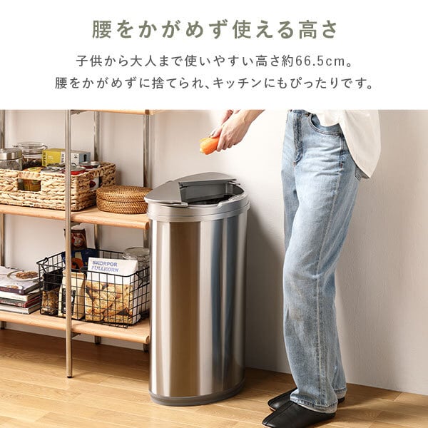 ゴミ箱 ダストボックス 約幅42cm 47L 大容量 横開き ステンレス 自動