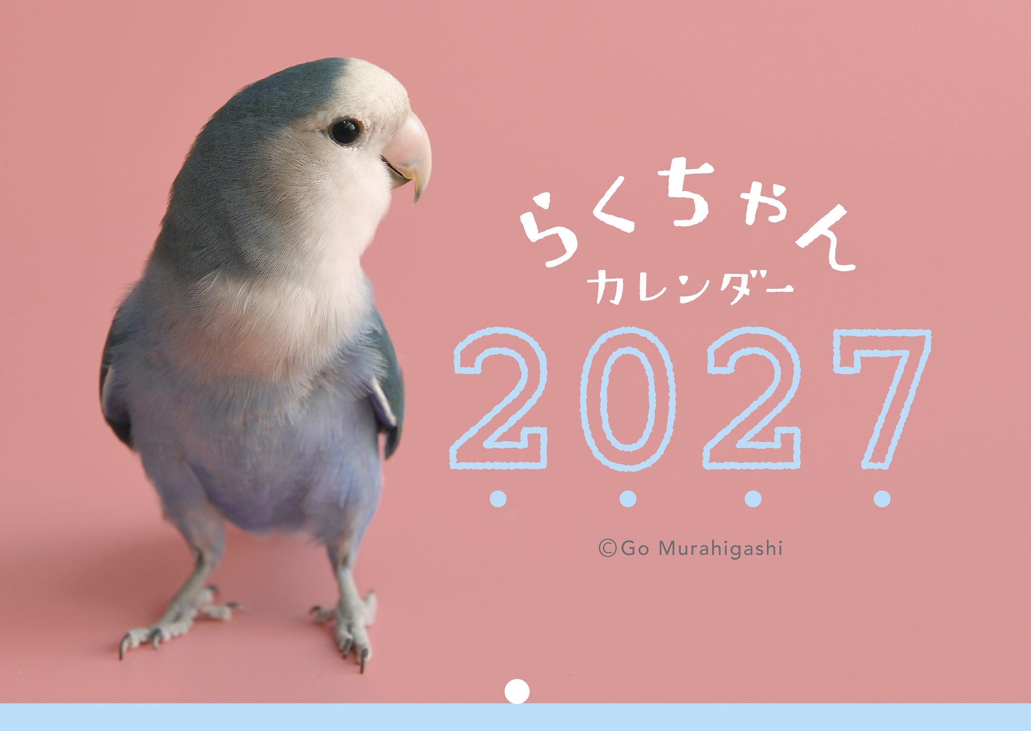 インコちゃんデザイン パネルサンプル ❀ハンドメイド❀ 予約ページ　1 インコのらくちゃんカレンダー2027 | おとちゃんストア