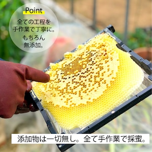 日本みつばちの百花蜜 140ml （非加熱）~瀬戸内産~エシカル梱包