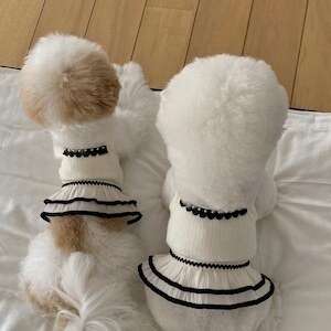 即納【seeni】Tan ops