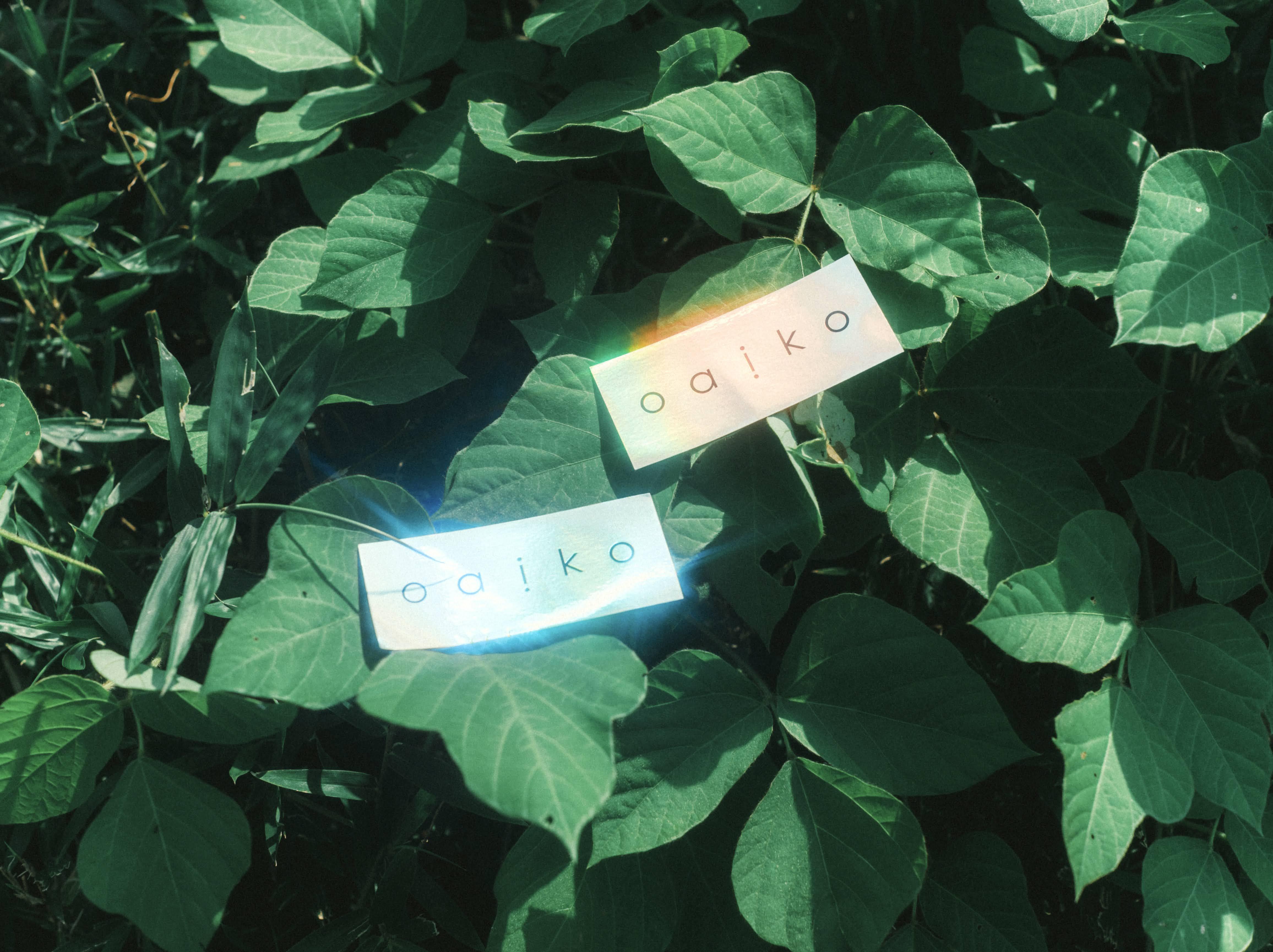 ひとひら「つくる」 ※OVERSEAS SHIPPING IS AVAILABLE | Oaiko