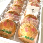 千本桜マドレーヌ  10個