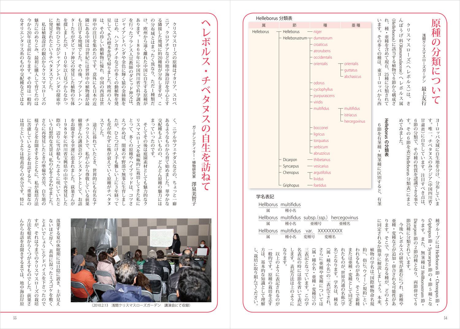 クリスマスローズを楽しむ 栃の葉書房
