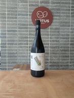 ★限定 2021 ACHILLE/ CASE CORINI　【イタリア】
