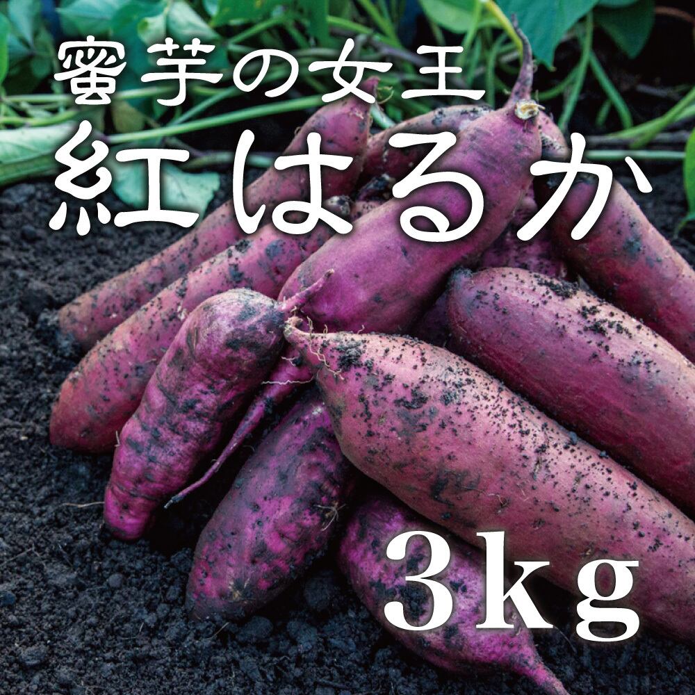 R6さつまいも 1キロ S | Pay ID R6さつまいも 1キロ S | Pay ID