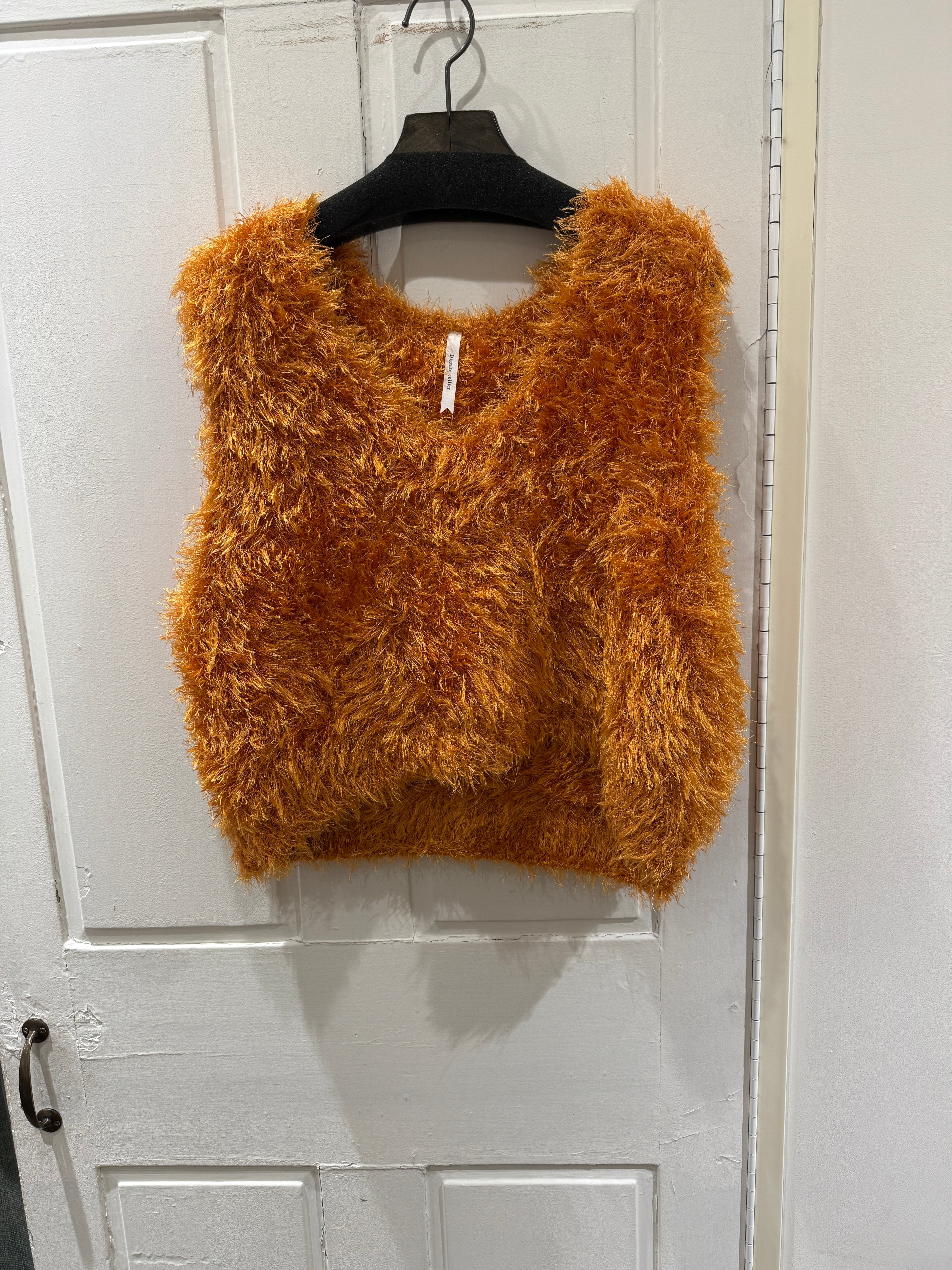 【11/10しゃちょーBIRTHDAYセールライブ①】フェザーベスト 80256113 ディニテコリエ オレンジ