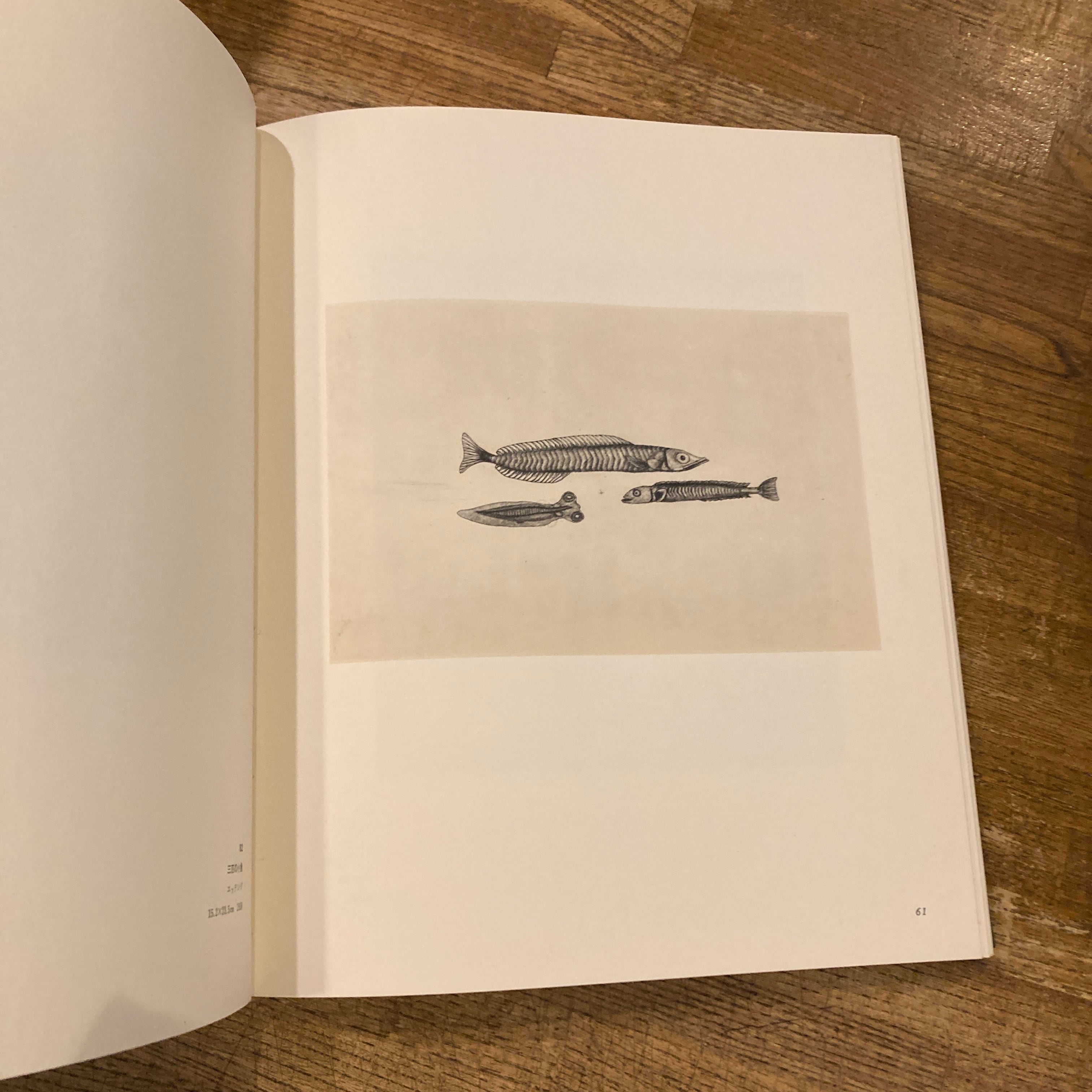 駒井哲郎 銅版画作品集 | 百年