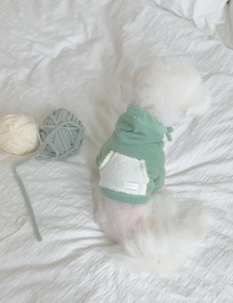 予約【todley】SNOWFLAKE HOODIE (Mint)