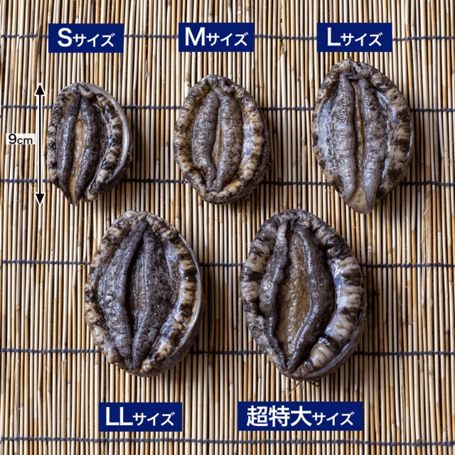 三陸産天然活アワビ2Lサイズ 2個（約500g）