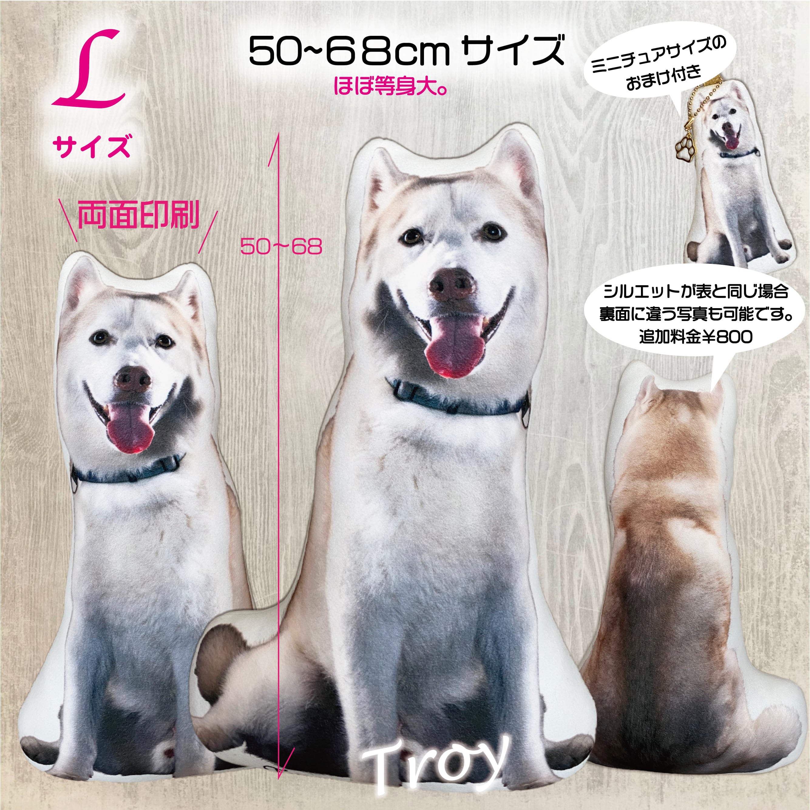 うちの子そのまんま リアルな等身大クッションlサイズ 50 68cm オーダーメイドのペットグッズのお店 Lily Craft