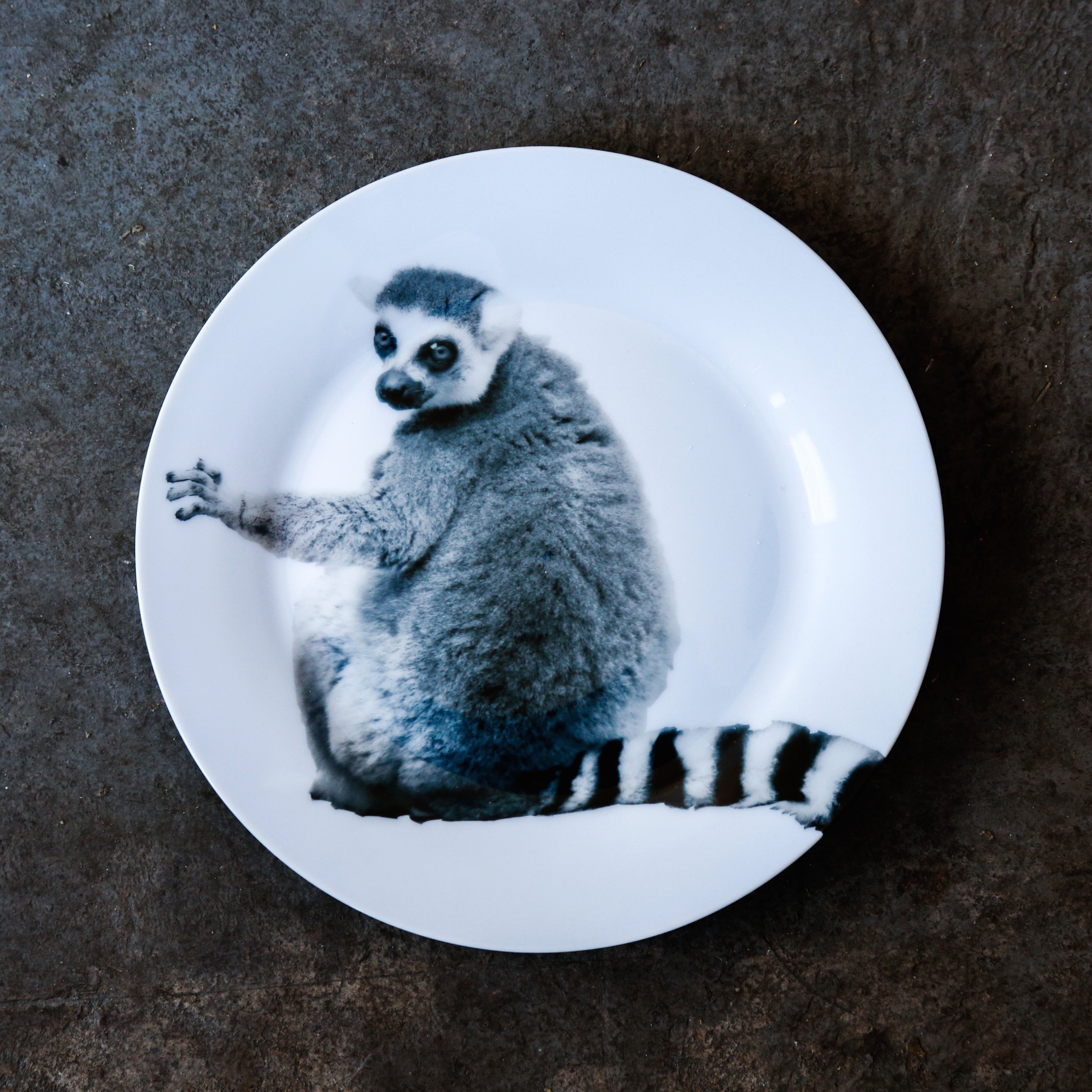 未使用　Raynaud Jungle 動物モチーフ 皿 3枚セット 未使用Raynaud Jungle 動物モチーフ 皿 3枚セット