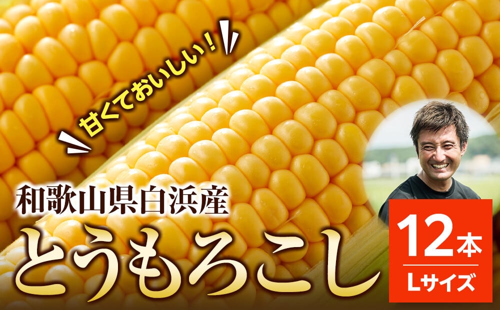 ヤングコーン40本（外皮付き） | わかやましらはま農家：オンライン