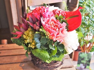 Arrangement－アレンジ＜5,930yen＞