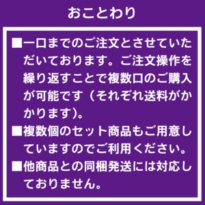 【2箱セット】【2026.7.1以降順次発送】【3L以上】大粒ブルーベリー約2kg《1箱125g×8パック入×2箱》