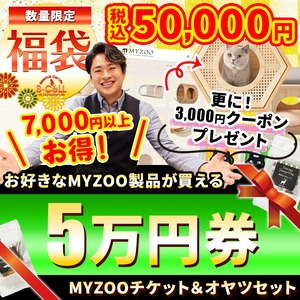 ※先着10名様に「ネコシャークベッド」プレゼント！【５万円分 チケット福袋】MYZOOショップで使えるチケット福袋！MYZOOコラボ,合計57,000円以上相当の猫グッズ！人気おやつ,ウェットフード付き！組み合わせは無限大！