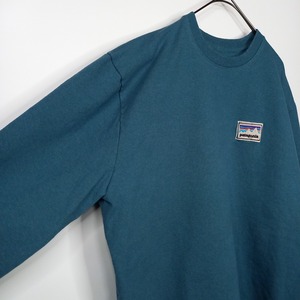 パタゴニア　アプレイザル　スウェット　トレーナー　裏起毛　刺繍ロゴ　エメラルド　青緑　XL