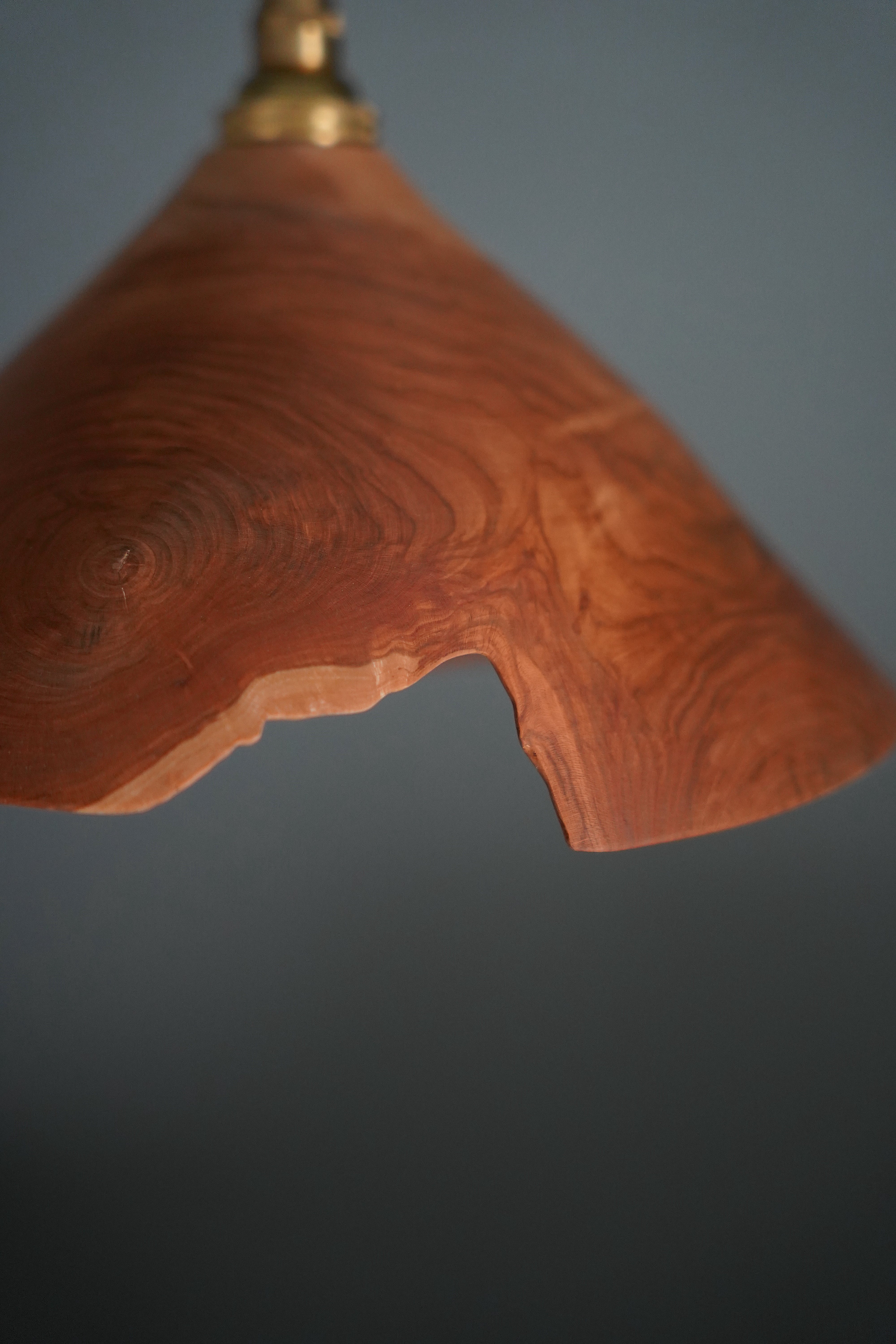 安藤萌 サクラの木 ランプシェード | DE OJAL omomuki