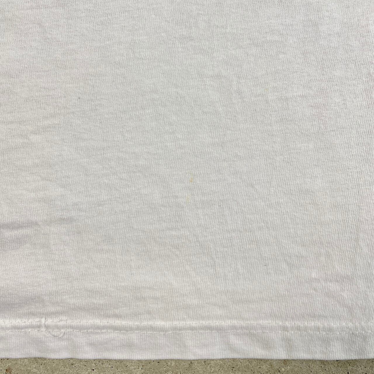 90年代 USA製 crazy shirts HAWAII クレイジーシャツ SAN DIEGO 魚 アニマル アート プリントTシャツ