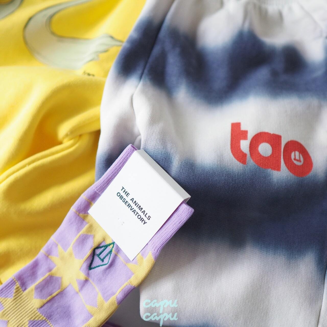 sale»«即納» THE ANIMALS OBSERVATORY / TAO / Blue Dromedary