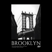 BKLYN BRIDGE PARKER/BK