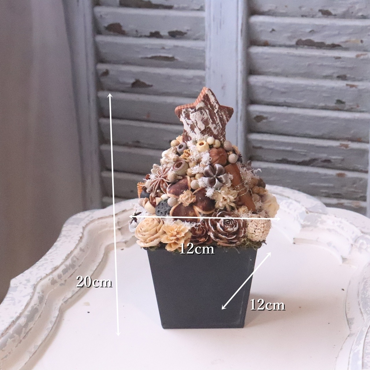 木の実ツリーM　1点もの｜木の実の小さなクリスマス飾り　木の実いっぱい　冬のナチュラルインテリア　プレゼント　推し活におすすめ　