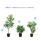 ゴムの木スリーウェイ70～150㎝［人工観葉植物・フェイクグリーンT］