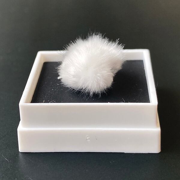 オーケン石 オケナイト（Okenite)直径約13mm コレクションケース付