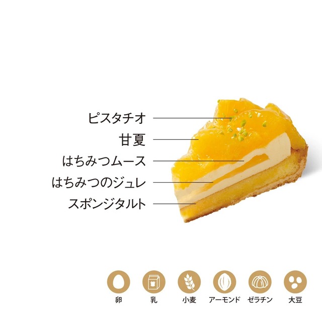 〈5HORN〉甘夏タルト　1個【期間限定 6/9配送分まで】
